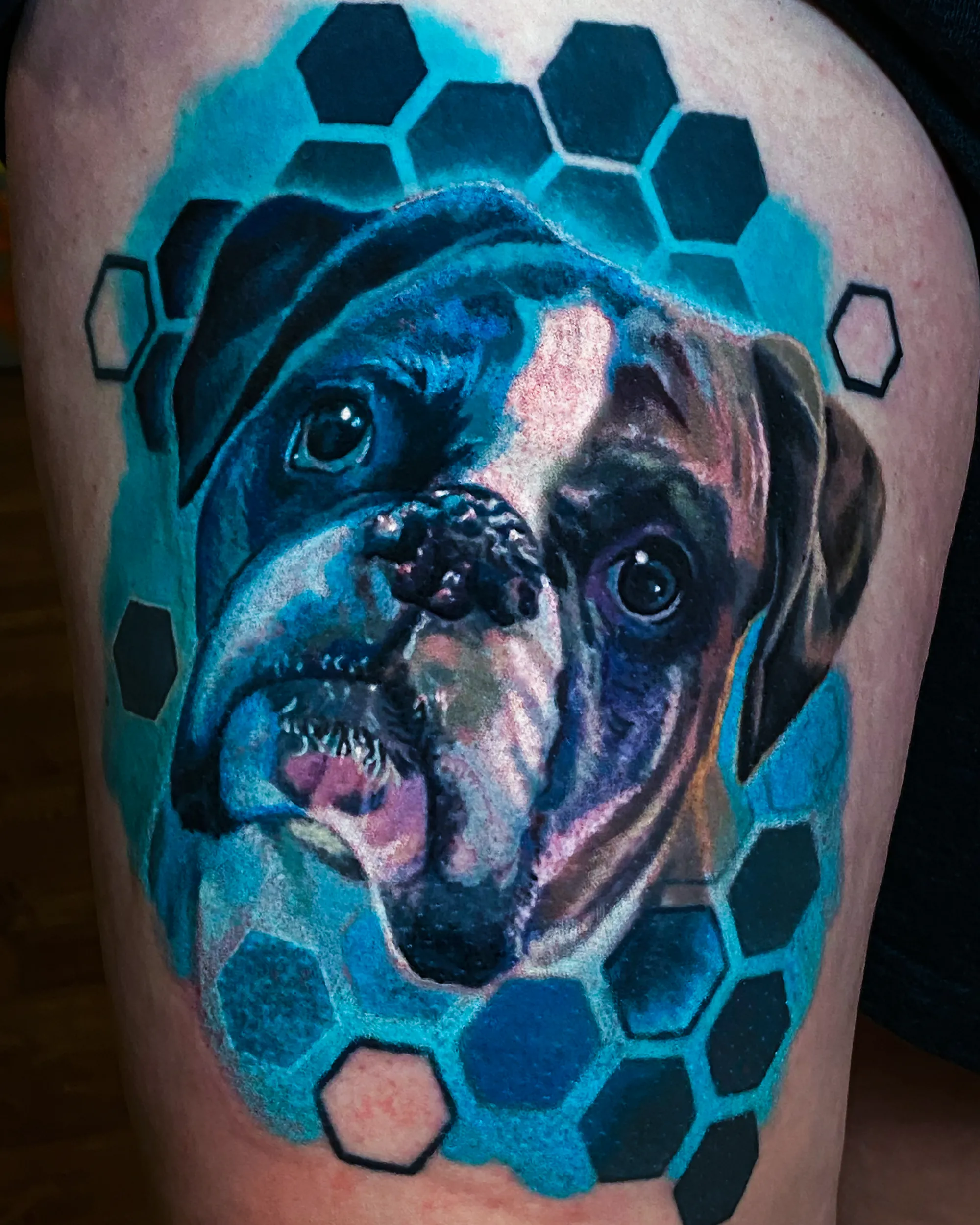 Color realism Boxer dog portrait teal hexagon thigh tattoo by Austin tattoo artist Bobby Cupparo