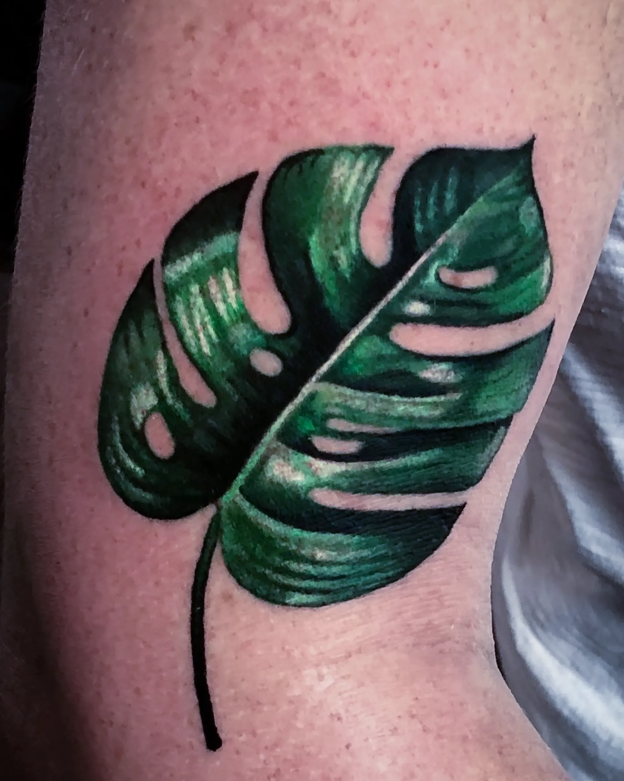 Color realism monstera leaf botanical forearm tattoo by Austin tattoo artist Bobby Cupparo