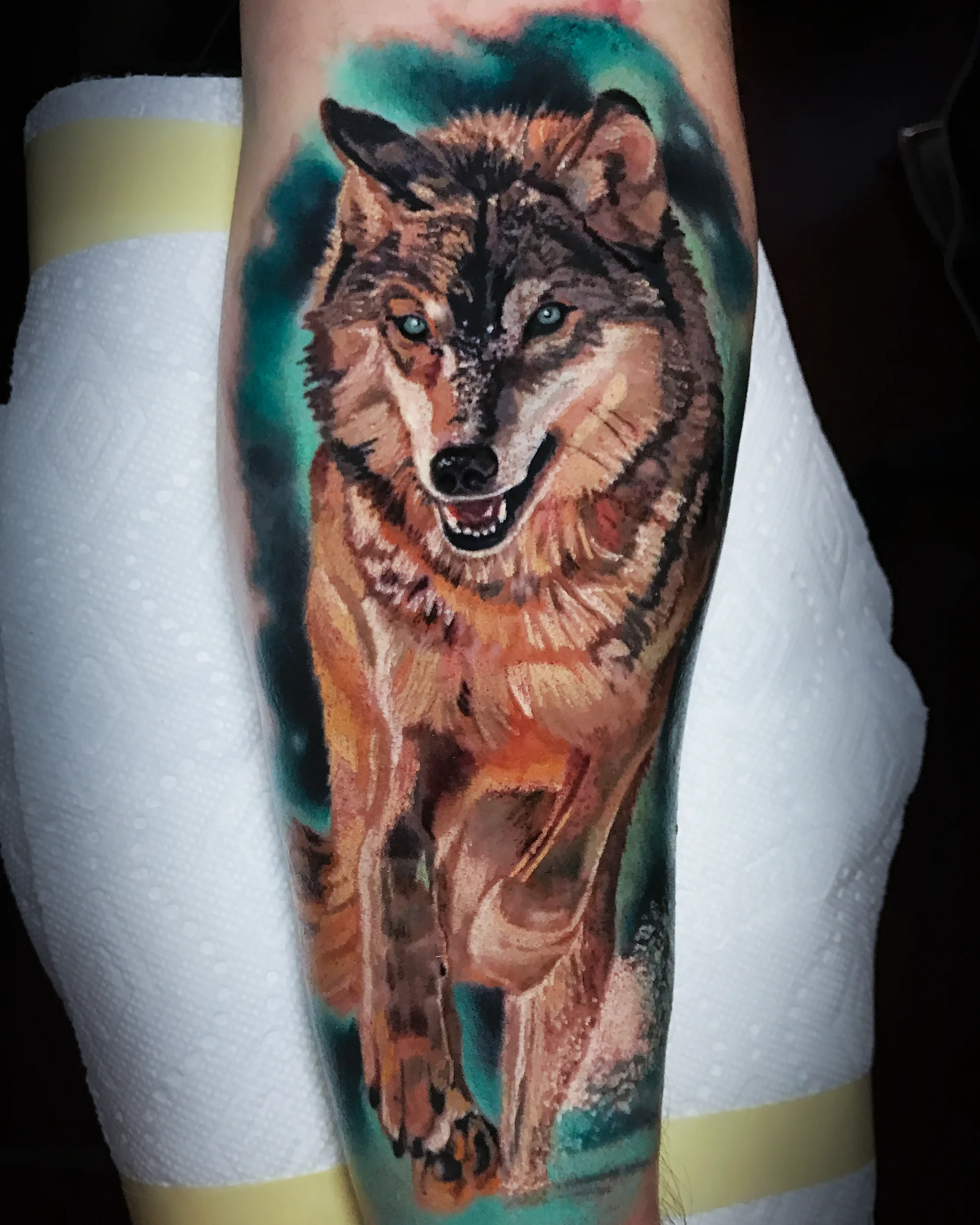 Color realism running wolf teal aurora forearm tattoo by Austin tattoo artist Bobby Cupparo