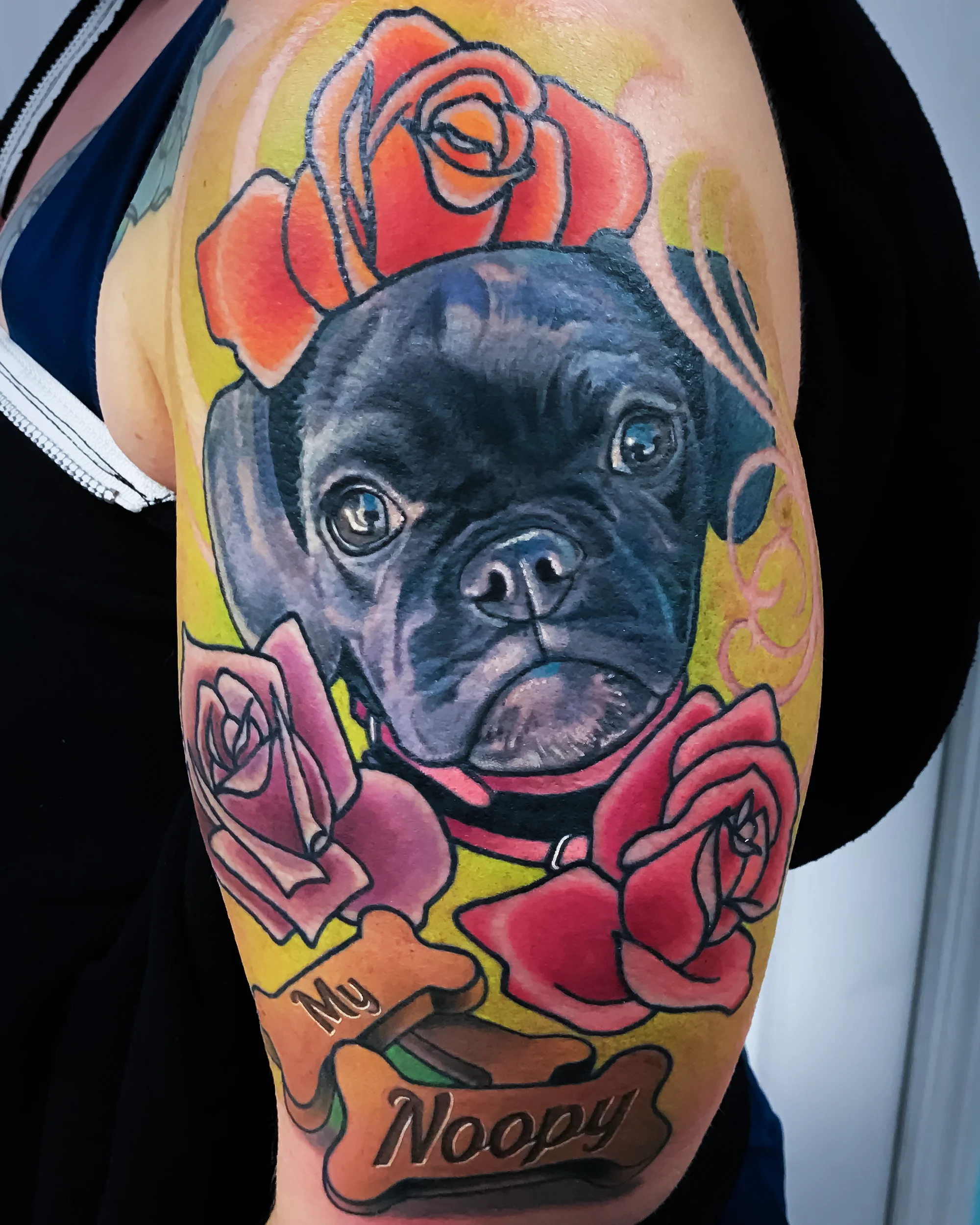 Neo-traditional pug memorial portrait with roses upper arm tattoo by Austin tattoo artist Bobby Cupparo